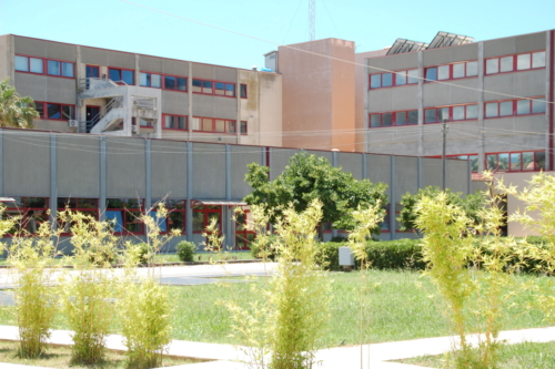 DSC 0005