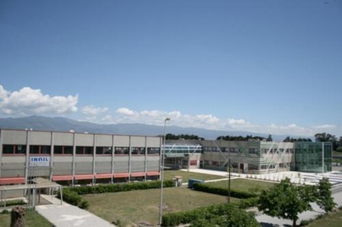 esterna.terina.5