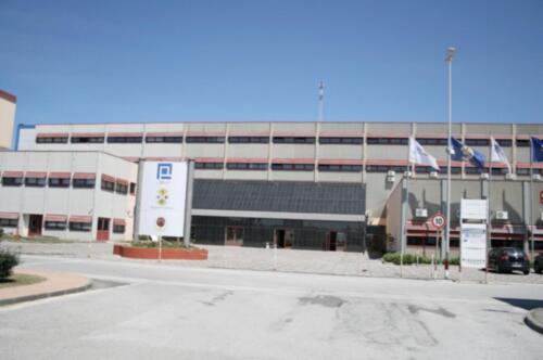 esterna.terina.7